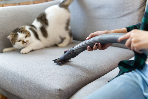 cara membersihkan sofa dengan vacuum cleaner